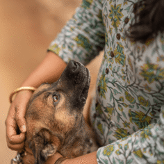 pet-sitting